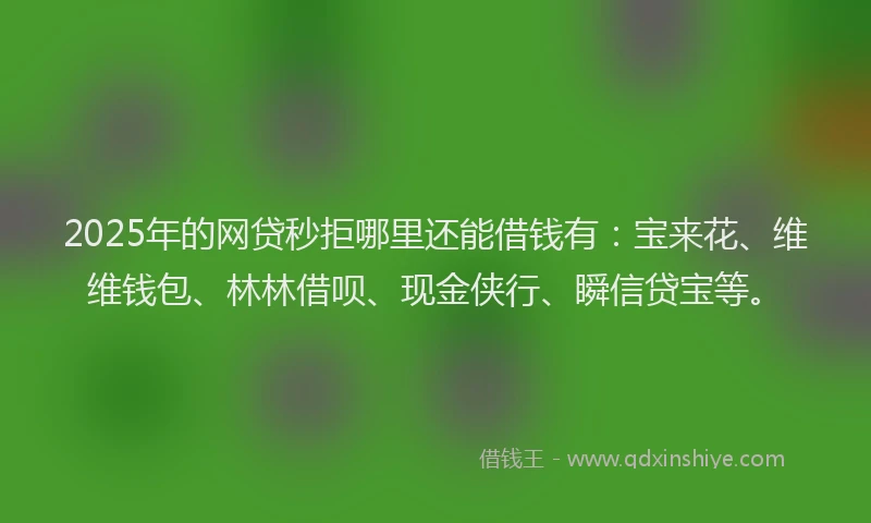 2025年的网贷秒拒哪里还能借钱有：宝来花、维维钱包、林林借呗、现金侠行、瞬信贷宝等。