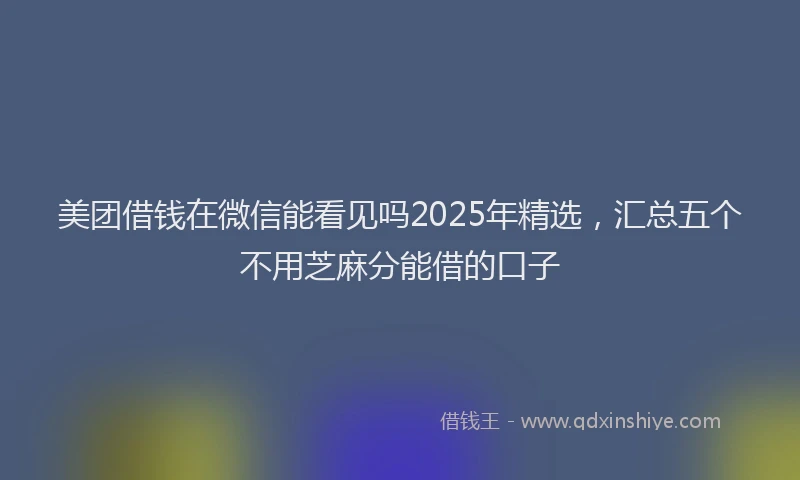 美团借钱在微信能看见吗2025年精选，汇总五个不用芝麻分能借的口子
