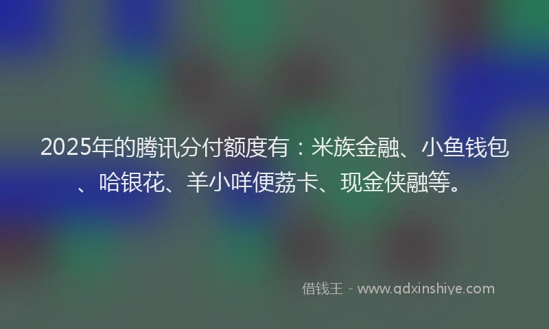 2025年的腾讯分付额度有：米族金融、小鱼钱包、哈银花、羊小咩便荔卡、现金侠融等。