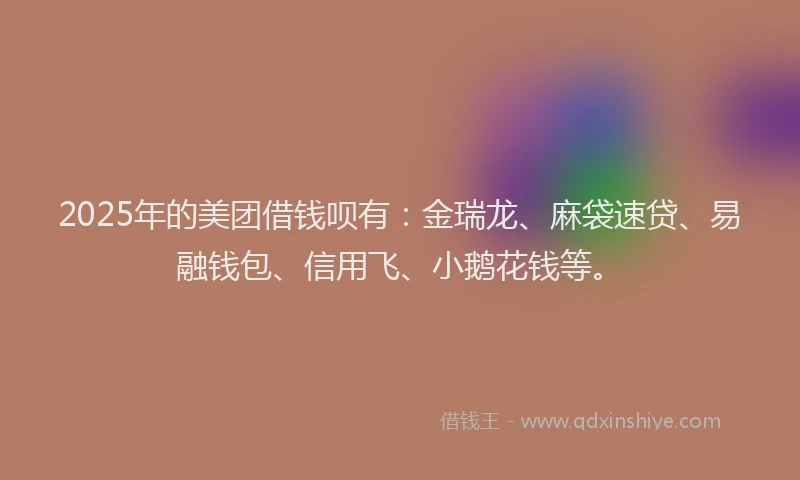 2025年的美团借钱呗有：金瑞龙、麻袋速贷、易融钱包、信用飞、小鹅花钱等。
