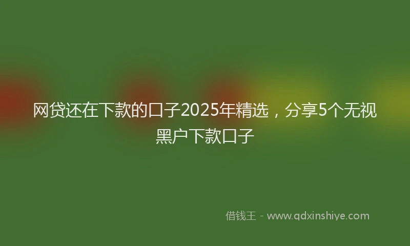 网贷还在下款的口子2025年精选，分享5个无视黑户下款口子