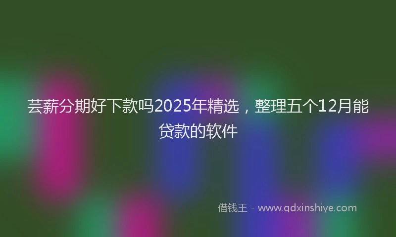 芸薪分期好下款吗2025年精选，整理五个12月能贷款的软件