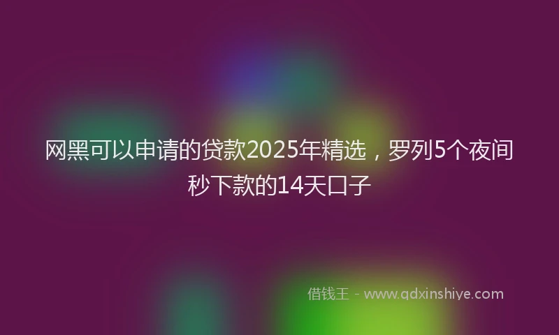 网黑可以申请的贷款2025年精选，罗列5个夜间秒下款的14天口子