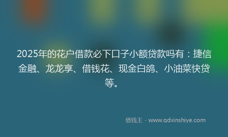 2025年的花户借款必下口子小额贷款吗有：捷信金融、龙龙享、借钱花、现金白鸽、小油菜快贷等。
