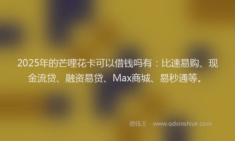 2025年的芒哩花卡可以借钱吗有：比速易购、现金流贷、融资易贷、Max商城、易秒通等。