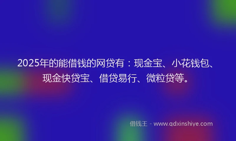 2025年的能借钱的网贷有：现金宝、小花钱包、现金快贷宝、借贷易行、微粒贷等。