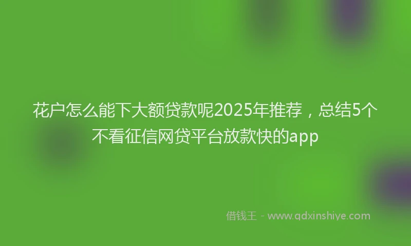 花户怎么能下大额贷款呢2025年推荐，总结5个不看征信网贷平台放款快的app