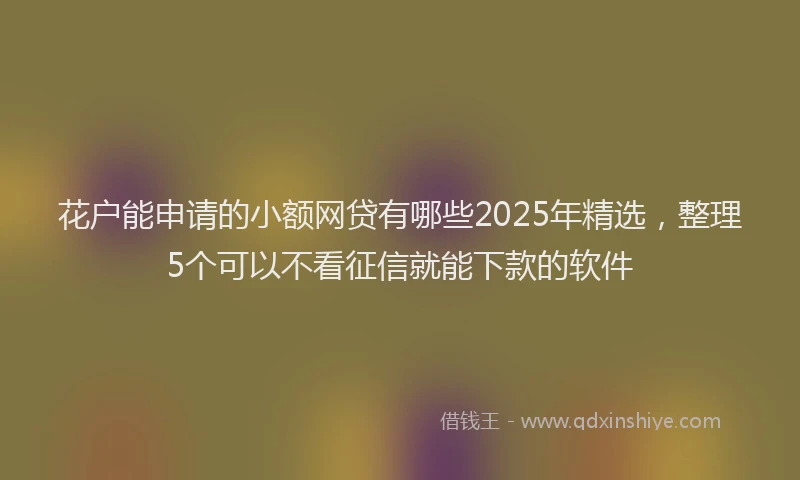 花户能申请的小额网贷有哪些2025年精选，整理5个可以不看征信就能下款的软件