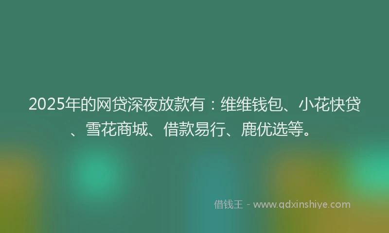 2025年的网贷深夜放款有：维维钱包、小花快贷、雪花商城、借款易行、鹿优选等。