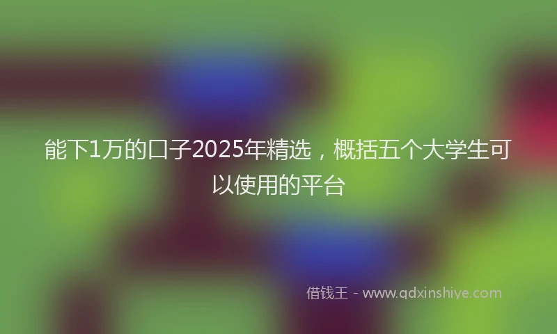 能下1万的口子2025年精选，概括五个大学生可以使用的平台