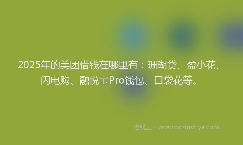 2025年的美团借钱在哪里有：珊瑚贷、盈小花、闪电购、融悦宝Pro钱包、口袋花等。