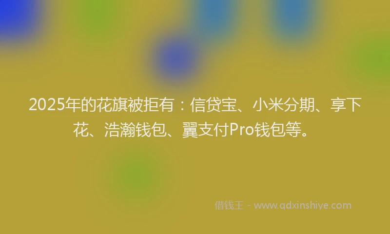 2025年的花旗被拒有：信贷宝、小米分期、享下花、浩瀚钱包、翼支付Pro钱包等。