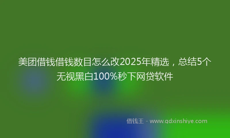 美团借钱借钱数目怎么改2025年精选，总结5个无视黑白100%秒下网贷软件