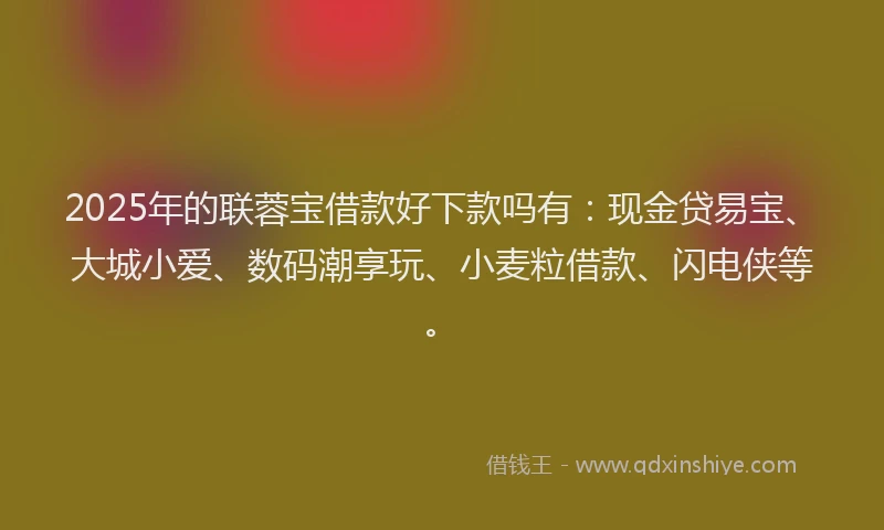 2025年的联蓉宝借款好下款吗有：现金贷易宝、大城小爱、数码潮享玩、小麦粒借款、闪电侠等。