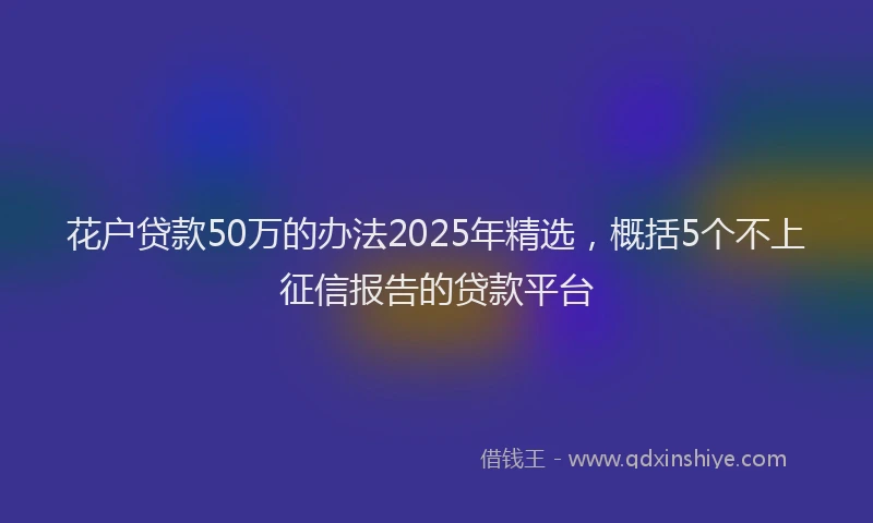 花户贷款50万的办法2025年精选，概括5个不上征信报告的贷款平台