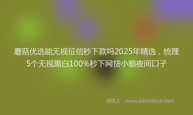蘑菇优选能无视征信秒下款吗2025年精选，梳理5个无视黑白100%秒下网贷小额夜间口子