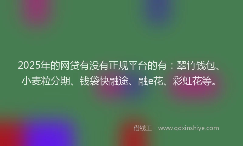 2025年的网贷有没有正规平台的有：翠竹钱包、小麦粒分期、钱袋快融途、融e花、彩虹花等。
