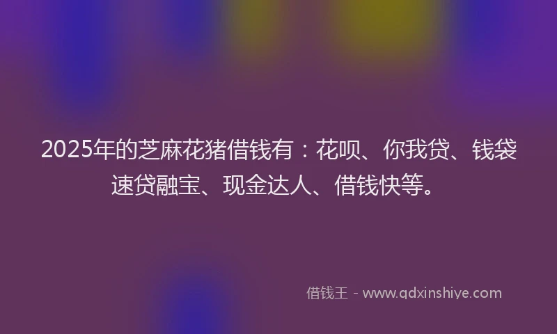 2025年的芝麻花猪借钱有：花呗、你我贷、钱袋速贷融宝、现金达人、借钱快等。