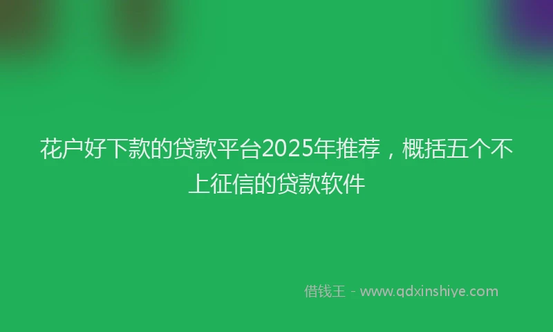 花户好下款的贷款平台2025年推荐，概括五个不上征信的贷款软件