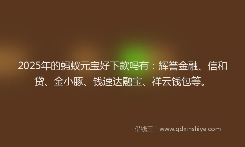 2025年的蚂蚁元宝好下款吗有：辉誉金融、信和贷、金小豚、钱速达融宝、祥云钱包等。