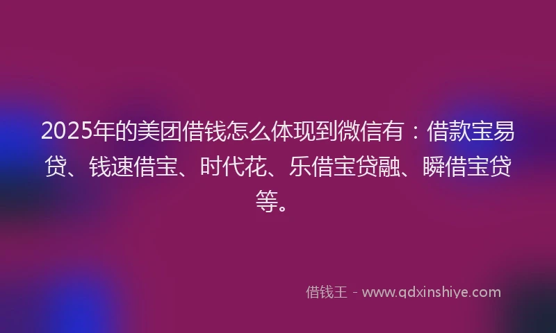 2025年的美团借钱怎么体现到微信有：借款宝易贷、钱速借宝、时代花、乐借宝贷融、瞬借宝贷等。