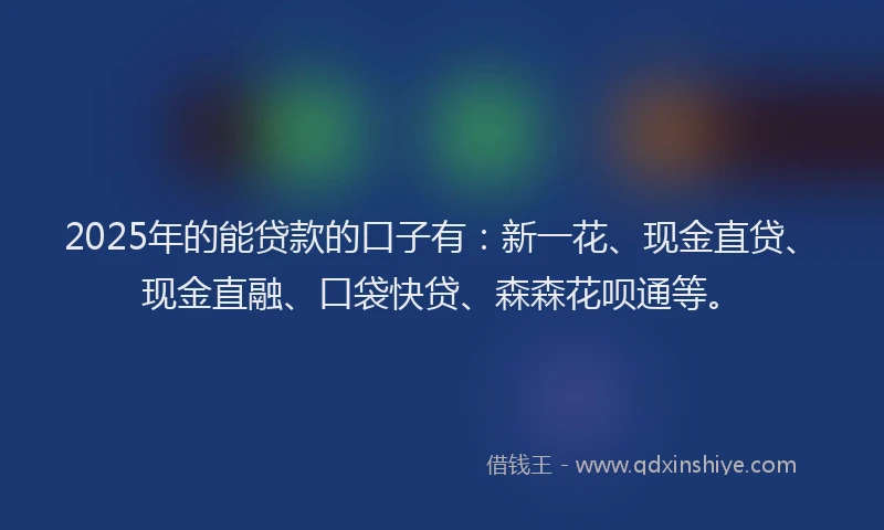 2025年的能贷款的口子有：新一花、现金直贷、现金直融、口袋快贷、森森花呗通等。