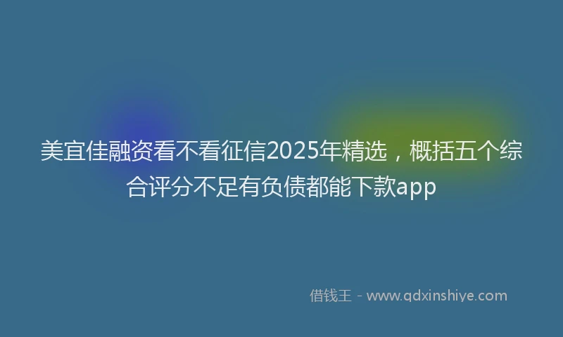 美宜佳融资看不看征信2025年精选，概括五个综合评分不足有负债都能下款app
