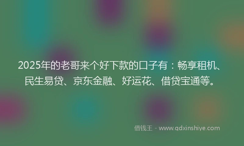 2025年的老哥来个好下款的口子有：畅享租机、民生易贷、京东金融、好运花、借贷宝通等。