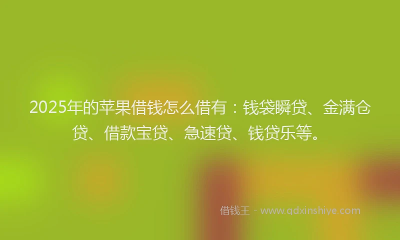 2025年的苹果借钱怎么借有：钱袋瞬贷、金满仓贷、借款宝贷、急速贷、钱贷乐等。