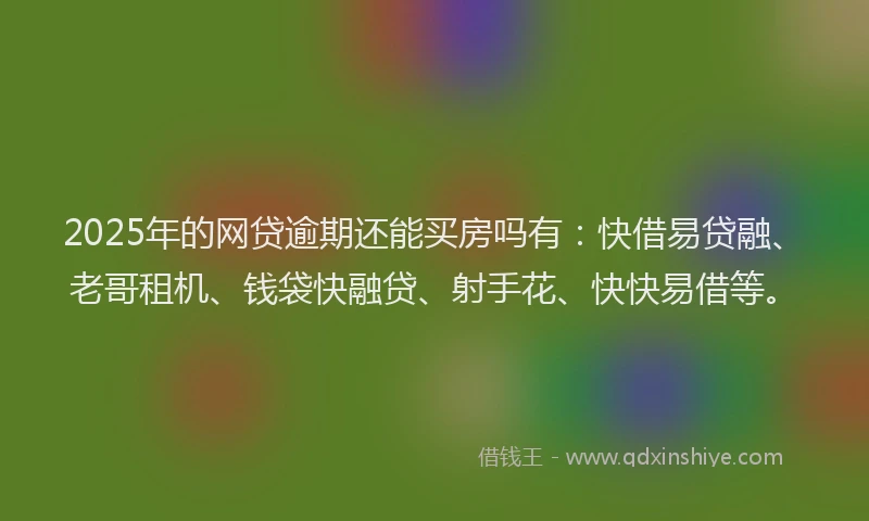 2025年的网贷逾期还能买房吗有：快借易贷融、老哥租机、钱袋快融贷、射手花、快快易借等。