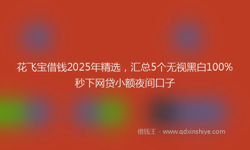 花飞宝借钱2025年精选，汇总5个无视黑白100%秒下网贷小额夜间口子