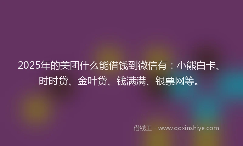 2025年的美团什么能借钱到微信有：小熊白卡、时时贷、金叶贷、钱满满、银票网等。