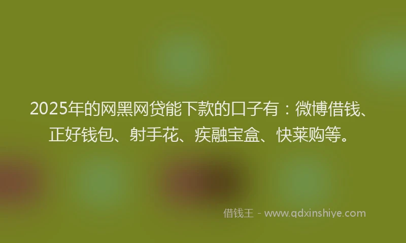 2025年的网黑网贷能下款的口子有：微博借钱、正好钱包、射手花、疾融宝盒、快莱购等。