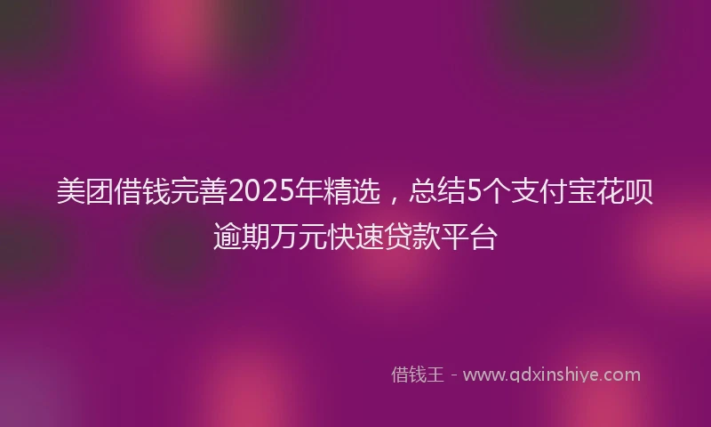 美团借钱完善2025年精选，总结5个支付宝花呗逾期万元快速贷款平台