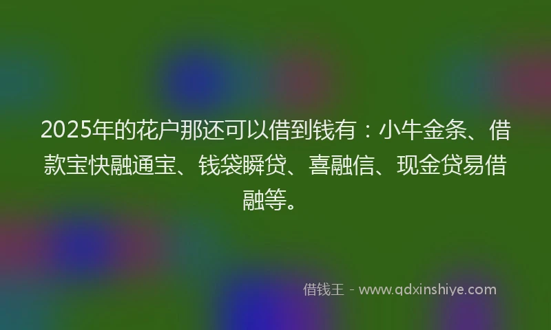 2025年的花户那还可以借到钱有：小牛金条、借款宝快融通宝、钱袋瞬贷、喜融信、现金贷易借融等。