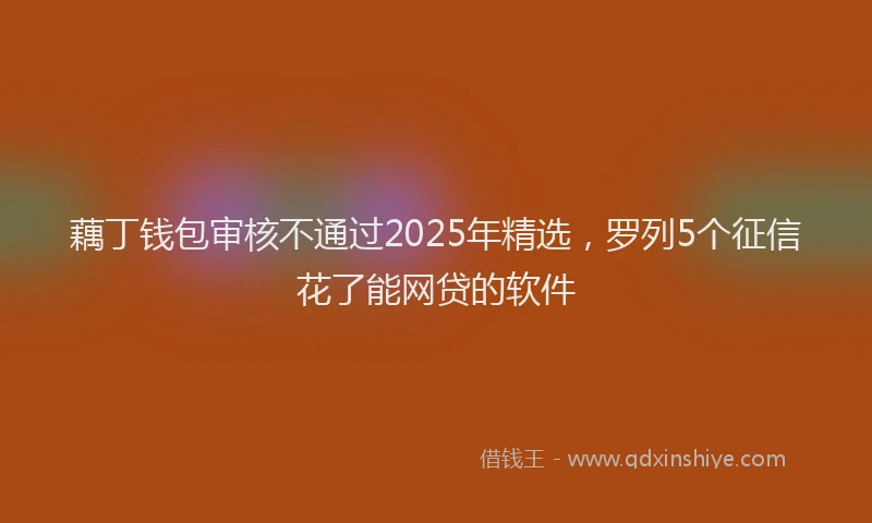 藕丁钱包审核不通过2025年精选，罗列5个征信花了能网贷的软件