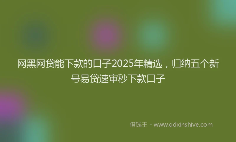 网黑网贷能下款的口子2025年精选，归纳五个新号易贷速审秒下款口子