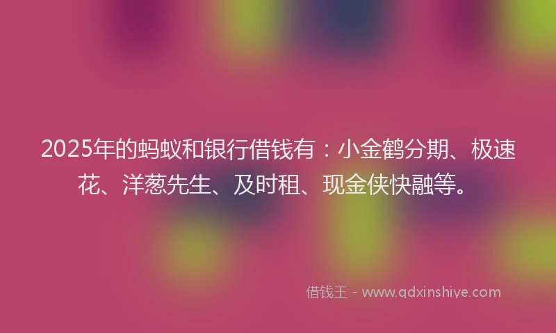 2025年的蚂蚁和银行借钱有：小金鹤分期、极速花、洋葱先生、及时租、现金侠快融等。