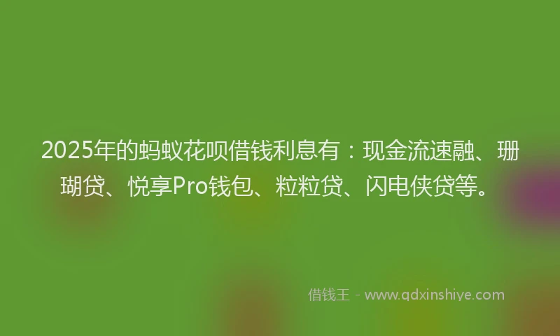 2025年的蚂蚁花呗借钱利息有：现金流速融、珊瑚贷、悦享Pro钱包、粒粒贷、闪电侠贷等。