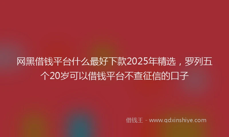 网黑借钱平台什么最好下款2025年精选，罗列五个20岁可以借钱平台不查征信的口子