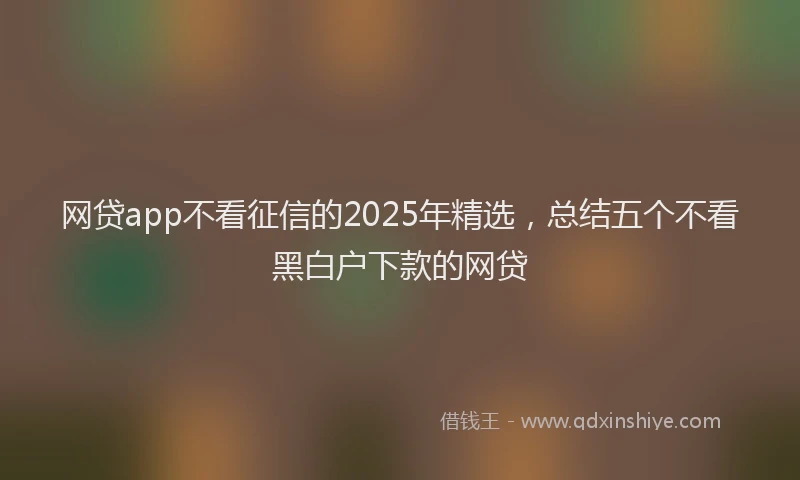 网贷app不看征信的2025年精选，总结五个不看黑白户下款的网贷