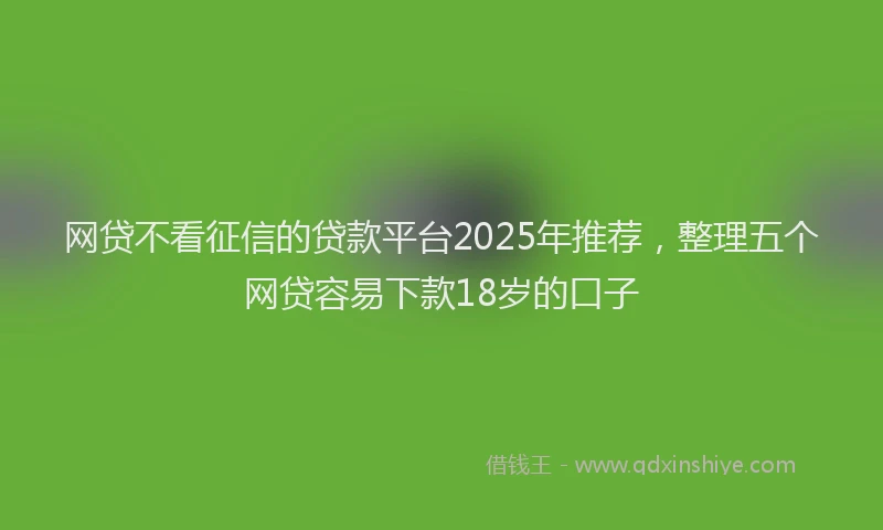 网贷不看征信的贷款平台2025年推荐，整理五个网贷容易下款18岁的口子