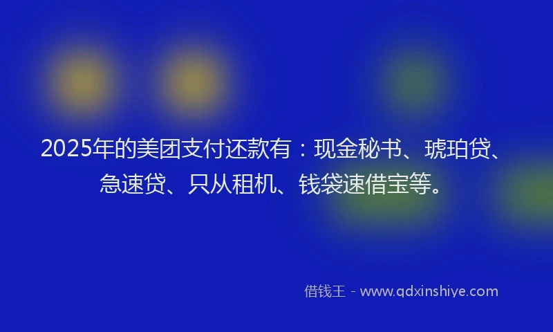 2025年的美团支付还款有：现金秘书、琥珀贷、急速贷、只从租机、钱袋速借宝等。