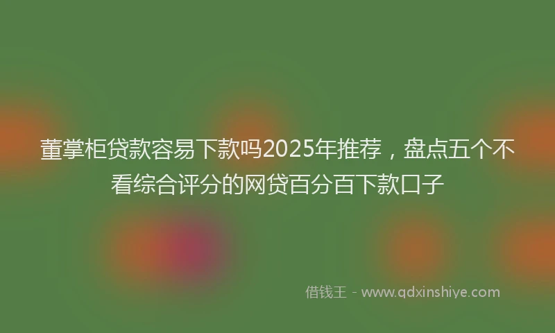 董掌柜贷款容易下款吗2025年推荐，盘点五个不看综合评分的网贷百分百下款口子