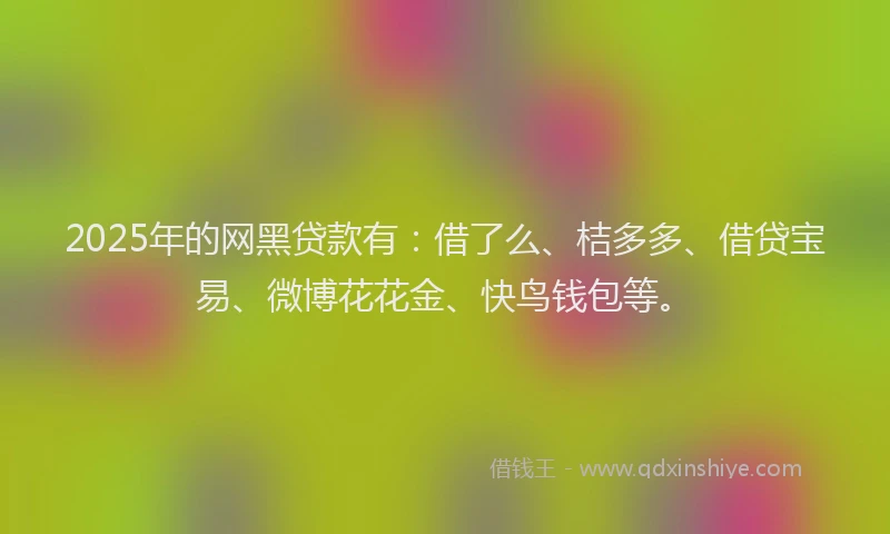 2025年的网黑贷款有：借了么、桔多多、借贷宝易、微博花花金、快鸟钱包等。
