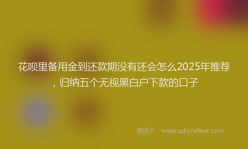 花呗里备用金到还款期没有还会怎么2025年推荐，归纳五个无视黑白户下款的口子