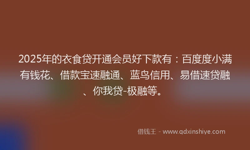 2025年的衣食贷开通会员好下款有：百度度小满有钱花、借款宝速融通、蓝鸟信用、易借速贷融、你我贷-极融等。