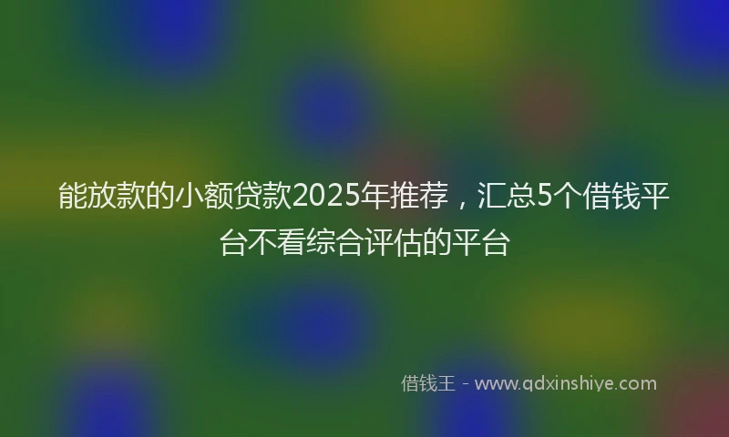 能放款的小额贷款2025年推荐，汇总5个借钱平台不看综合评估的平台