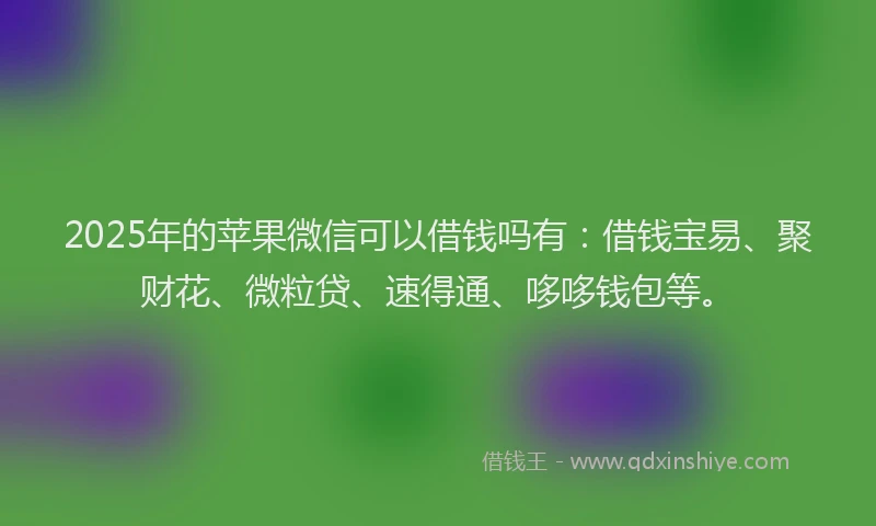 2025年的苹果微信可以借钱吗有：借钱宝易、聚财花、微粒贷、速得通、哆哆钱包等。