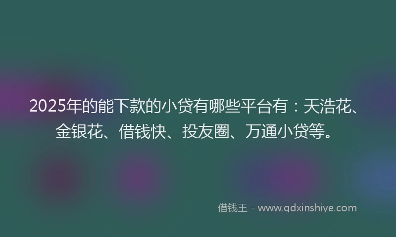 2025年的能下款的小贷有哪些平台有：天浩花、金银花、借钱快、投友圈、万通小贷等。